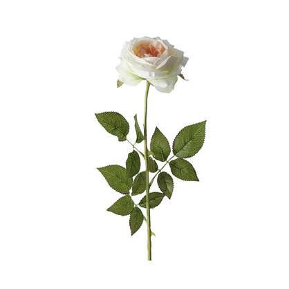 Single Austin Rose 68CM