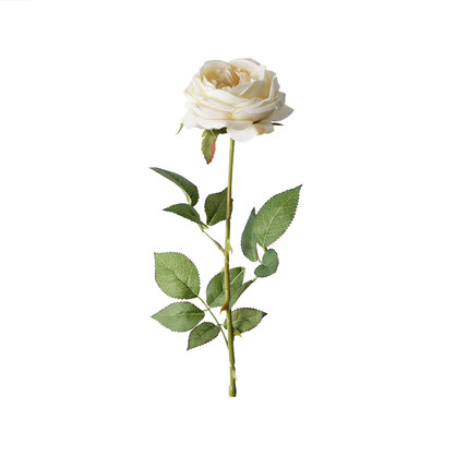 Single Austin Rose 68CM