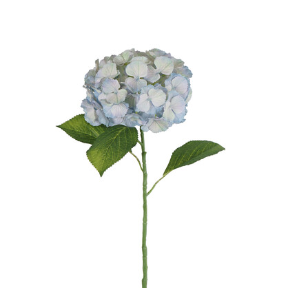 Single Hydrangea Large Petals 68cm