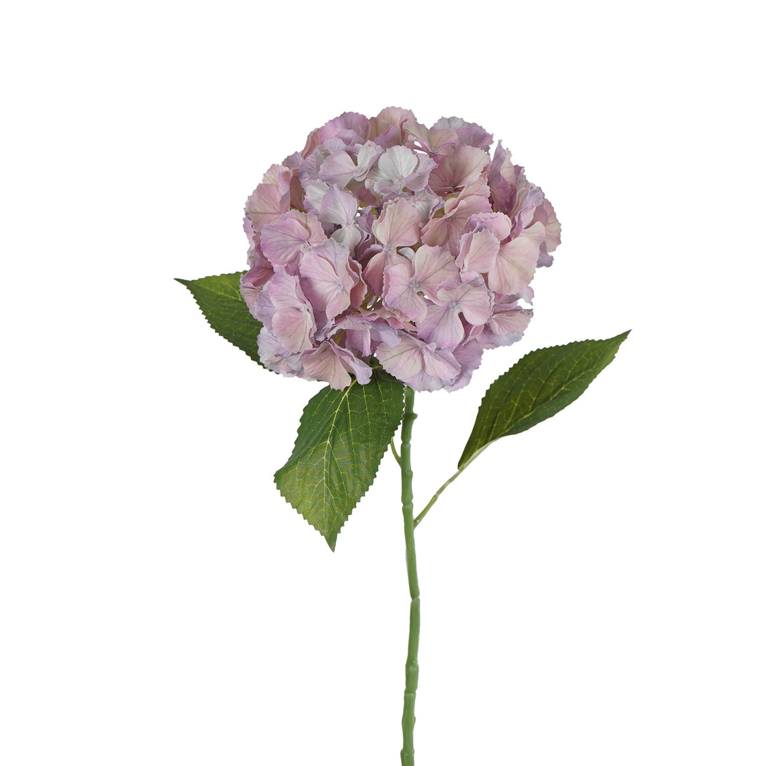 Single Hydrangea Large Petals 68cm