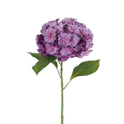 Single Hydrangea Large Petals 68cm