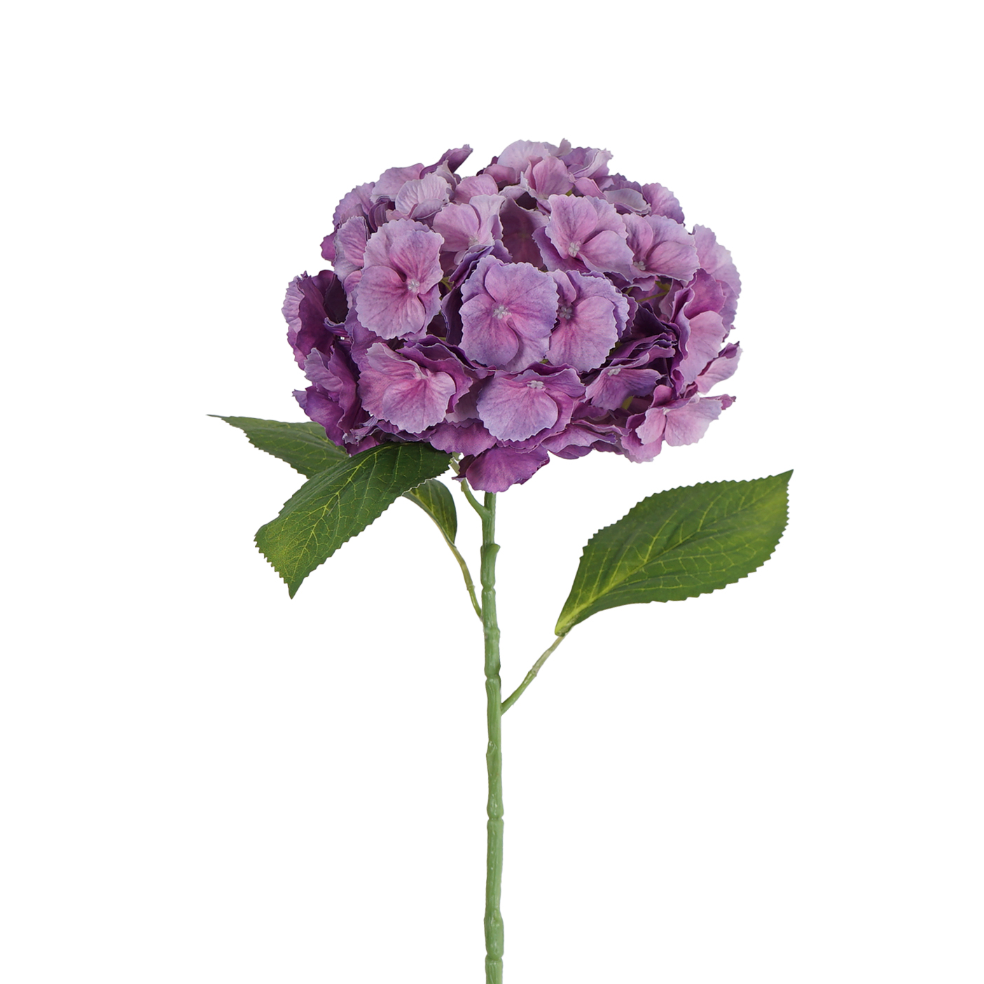 Single Hydrangea Large Petals 68cm