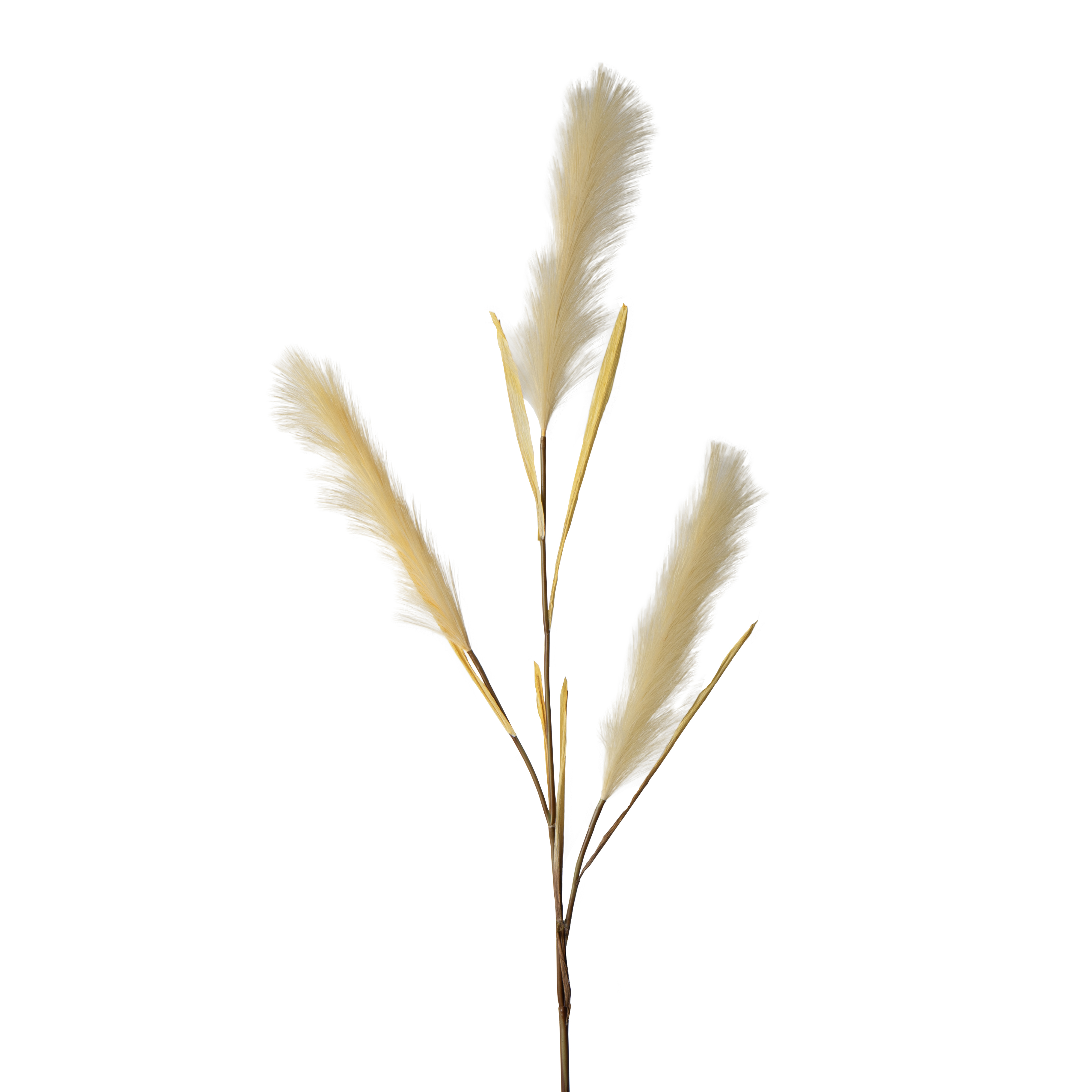 Artificial Autumn Single Pampas 3H 140CM