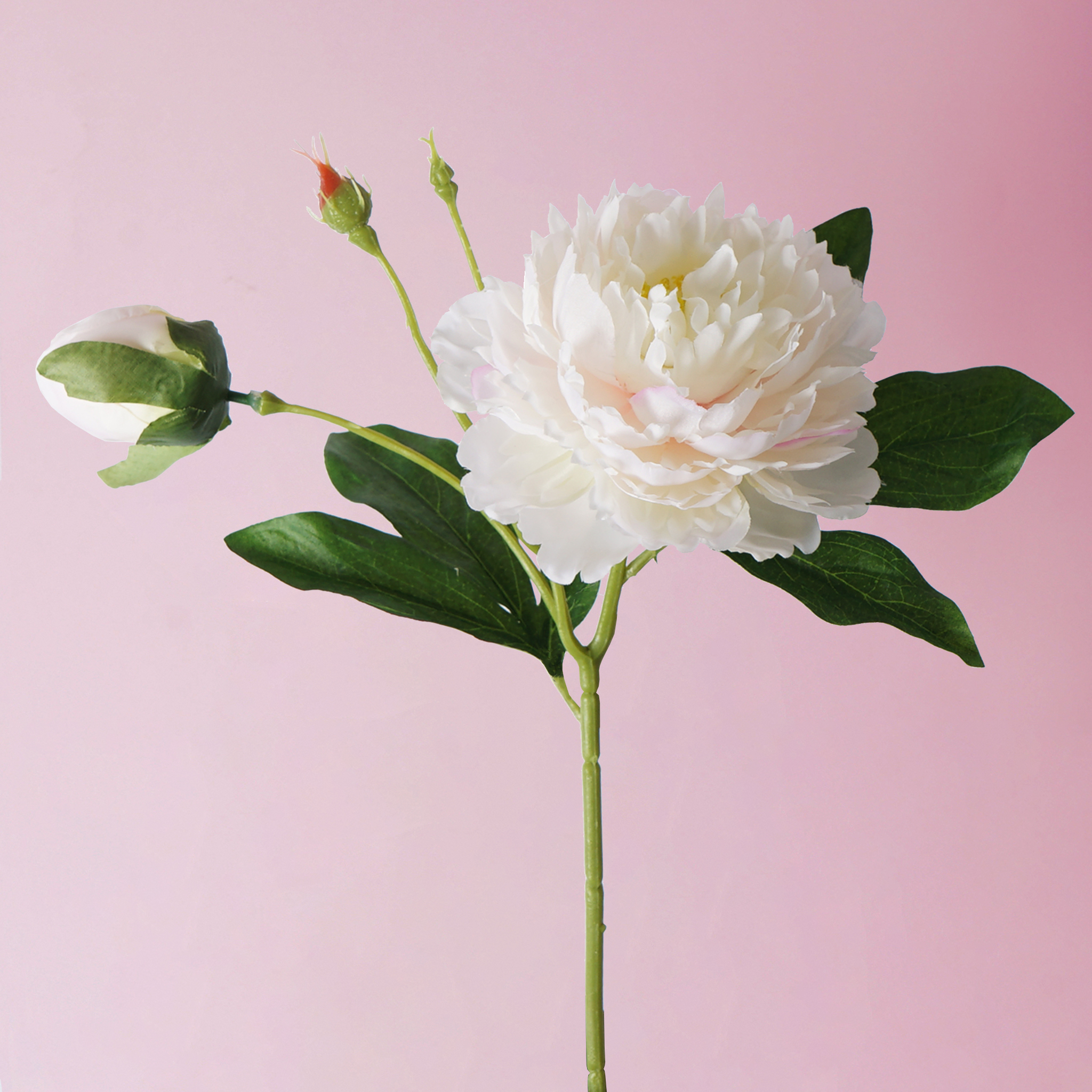 Artificial Peony Spray 2H 56CM