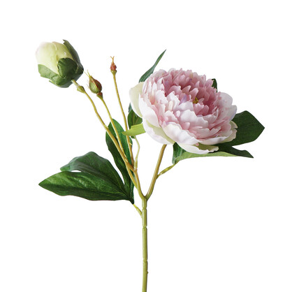 Artificial Peony Spray 2H 56CM