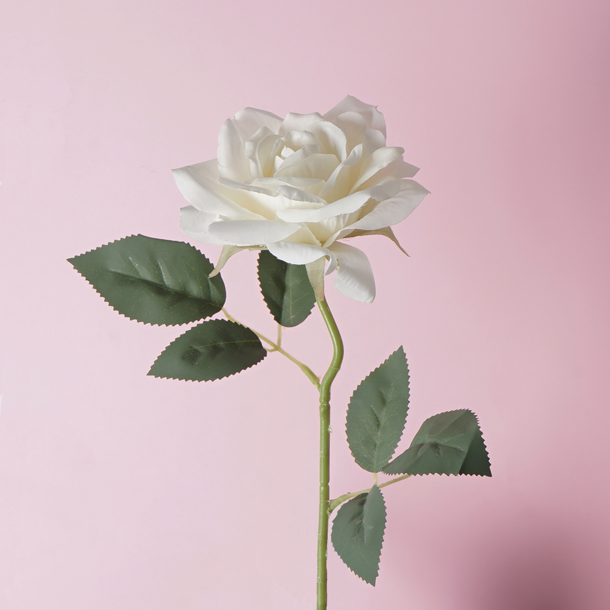 Artificial Single Garden Rose 50CM
