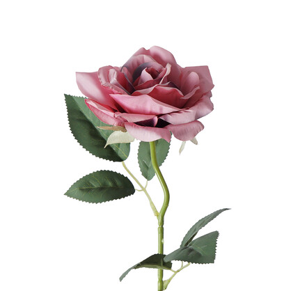 Artificial Single Garden Rose 50CM