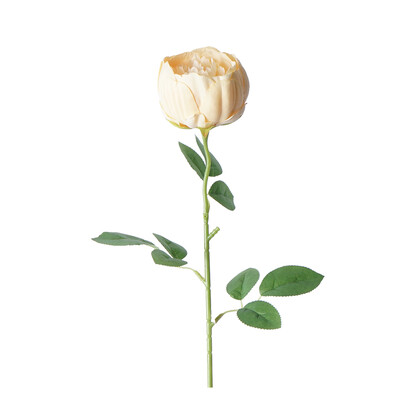Artificial Single English Rose 62CM