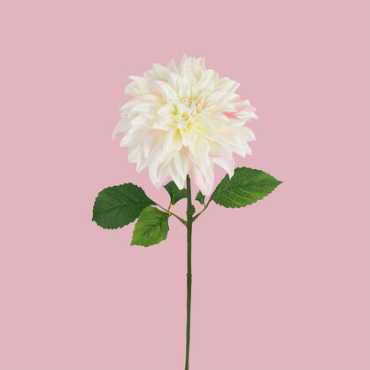 Artificial Dahlia Stem Cream with Pink 74CM