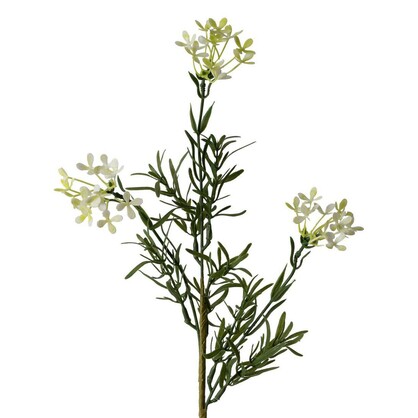 Wax Flower Spray