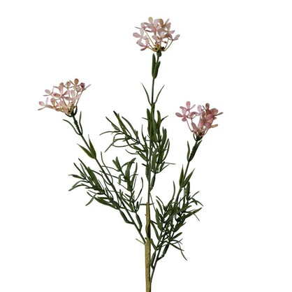 Wax Flower Spray