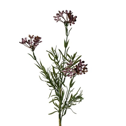 Wax Flower Spray