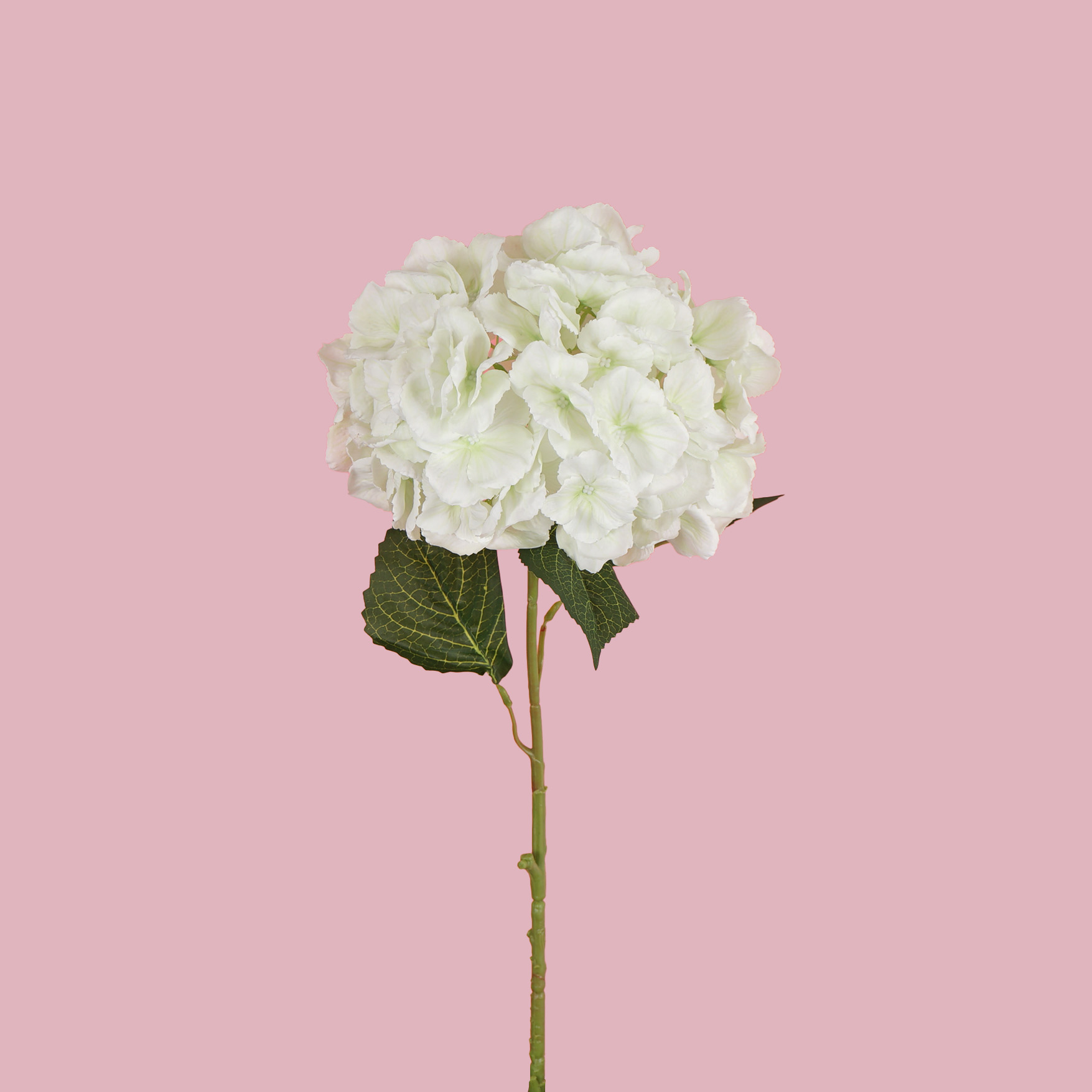 Single Hydrangea Large 83CM