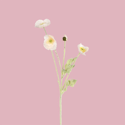 Poppy Spray 5H 56CM