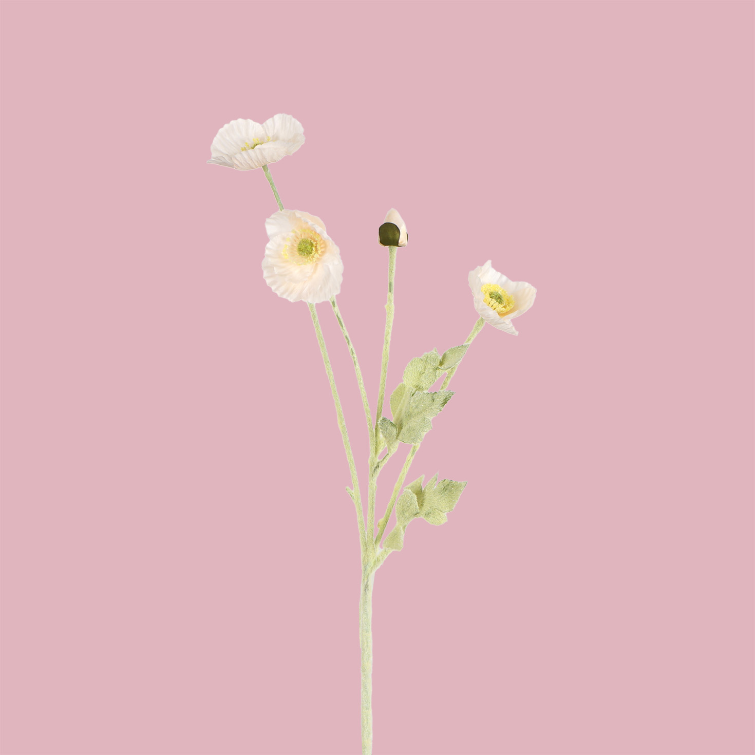 Poppy Spray 5H 56CM