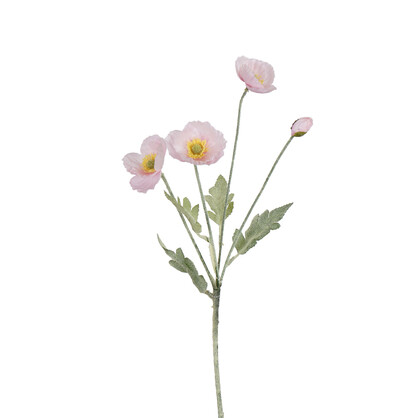Poppy Spray 5H 56CM