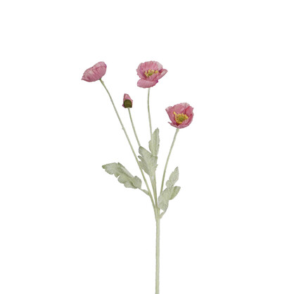 Poppy Spray 5H 56CM