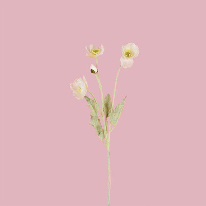 Poppy Spray 5H 56CM