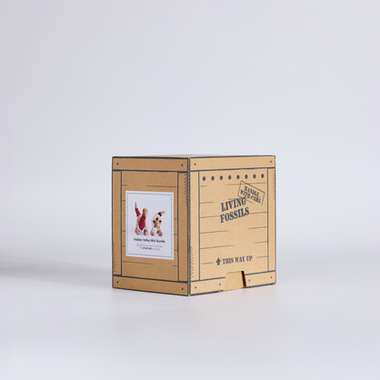 Hidden Valley Mini – 2 Dinosaurs in Gift Crate