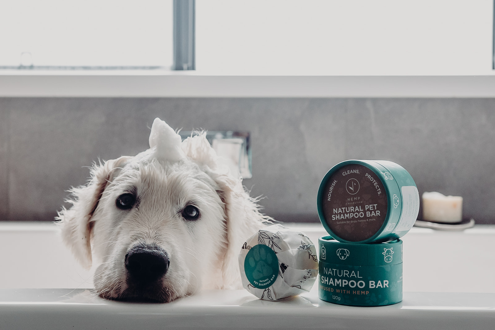 Pet Shampoo Bar