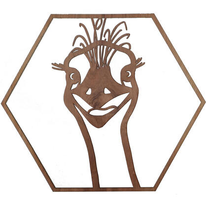 Emu Hexagon Wall Art