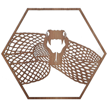 Inland Taipan Snake Hexagon Wall Art