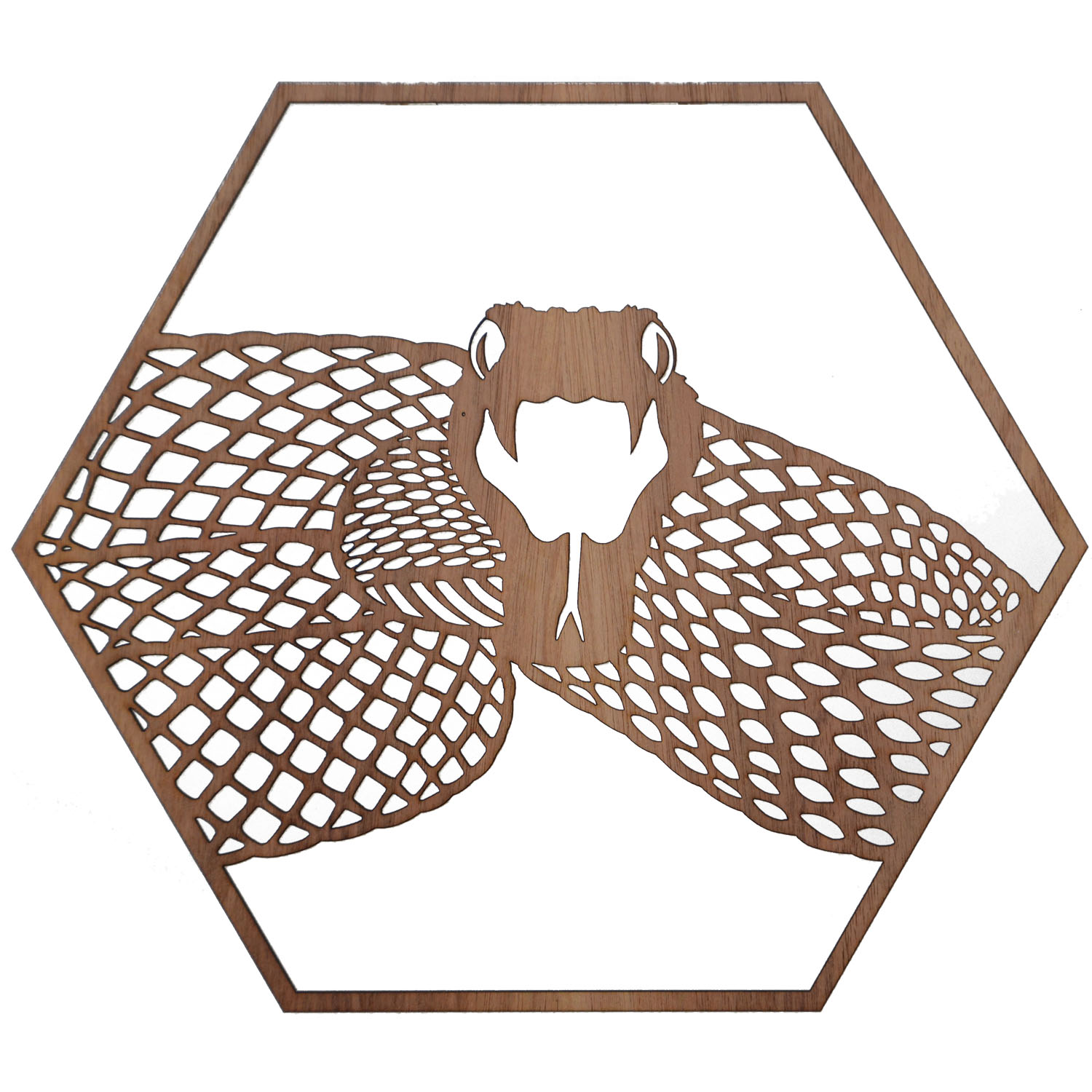 Inland Taipan Snake Hexagon Wall Art