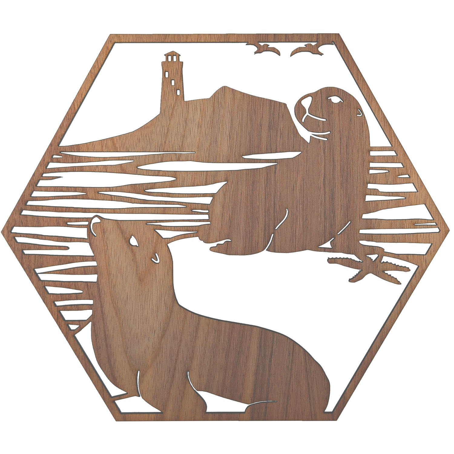 Seals Sunbathing Hexagon Wall Art