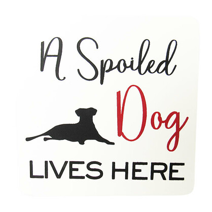 Pet Magnet Spoiled Dog