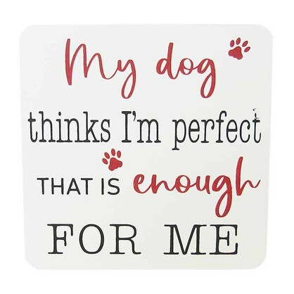 Pet Magnet Perfect
