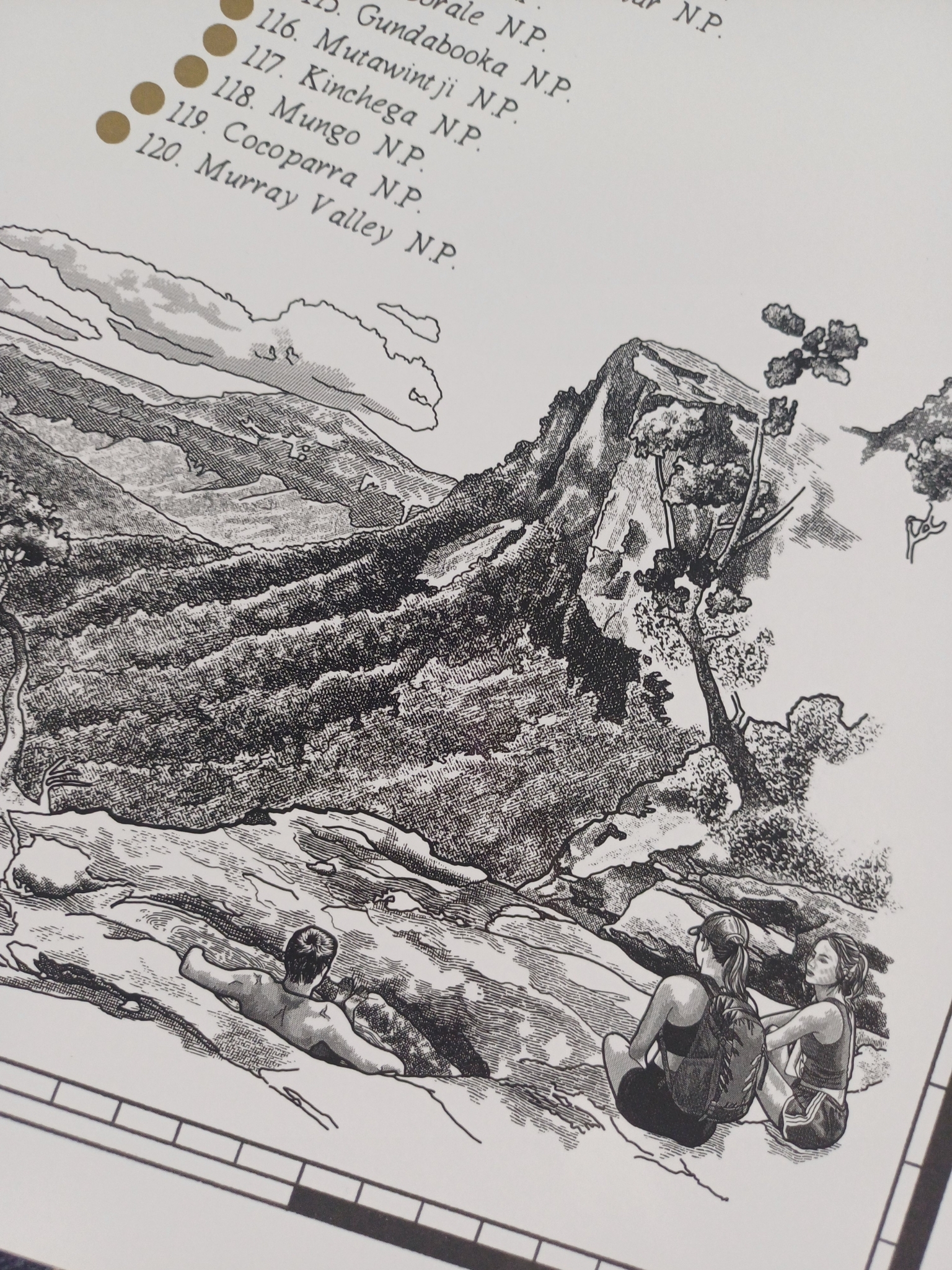 The New South Wales National Park Quest