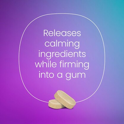 Goodspace Anxiety Aid Chewing Gum 10pk