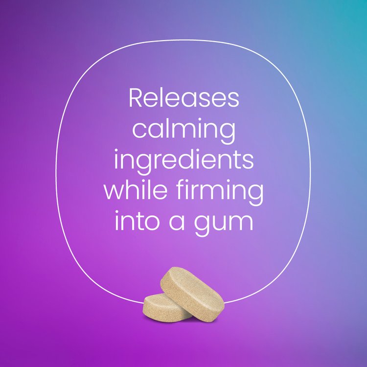 Goodspace Anxiety Aid Chewing Gum 10pk