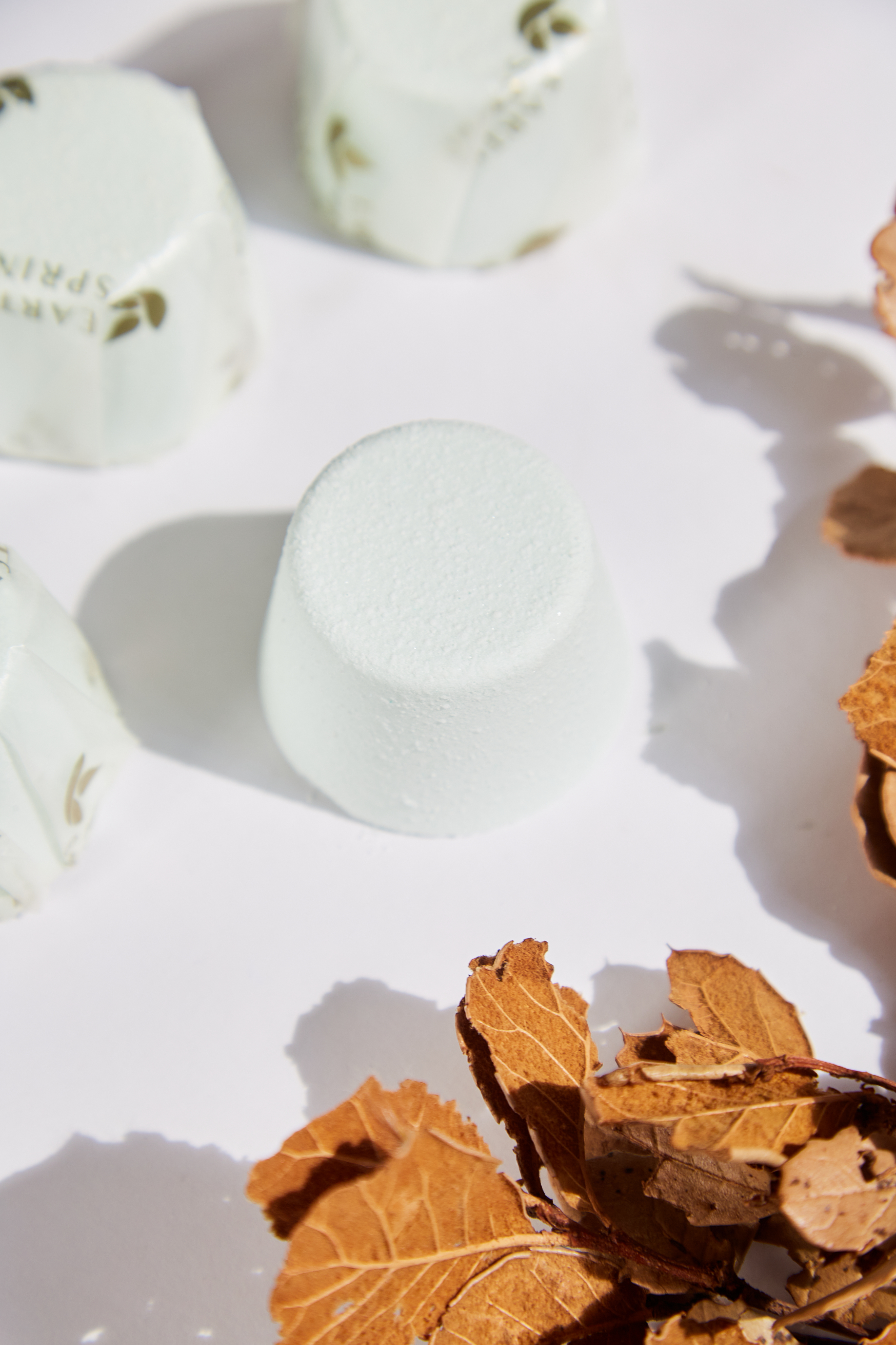 Earth Spring BREATHE Hand Crafted Shower Steamers (4 pack)