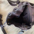 Isla Vintage Brown Weave Bag
