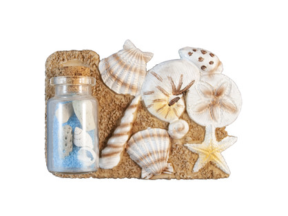 Bottle With Shell Scene Magnet 2 assorted 10x7cm