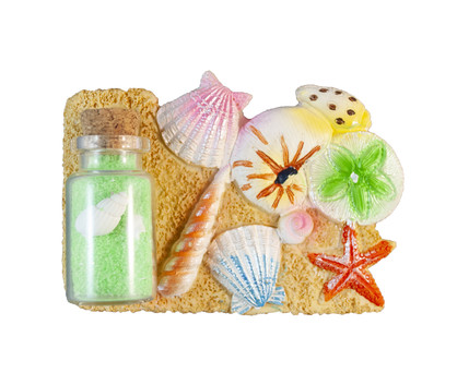 Bottle With Shell Scene Magnet 2 assorted 10x7cm