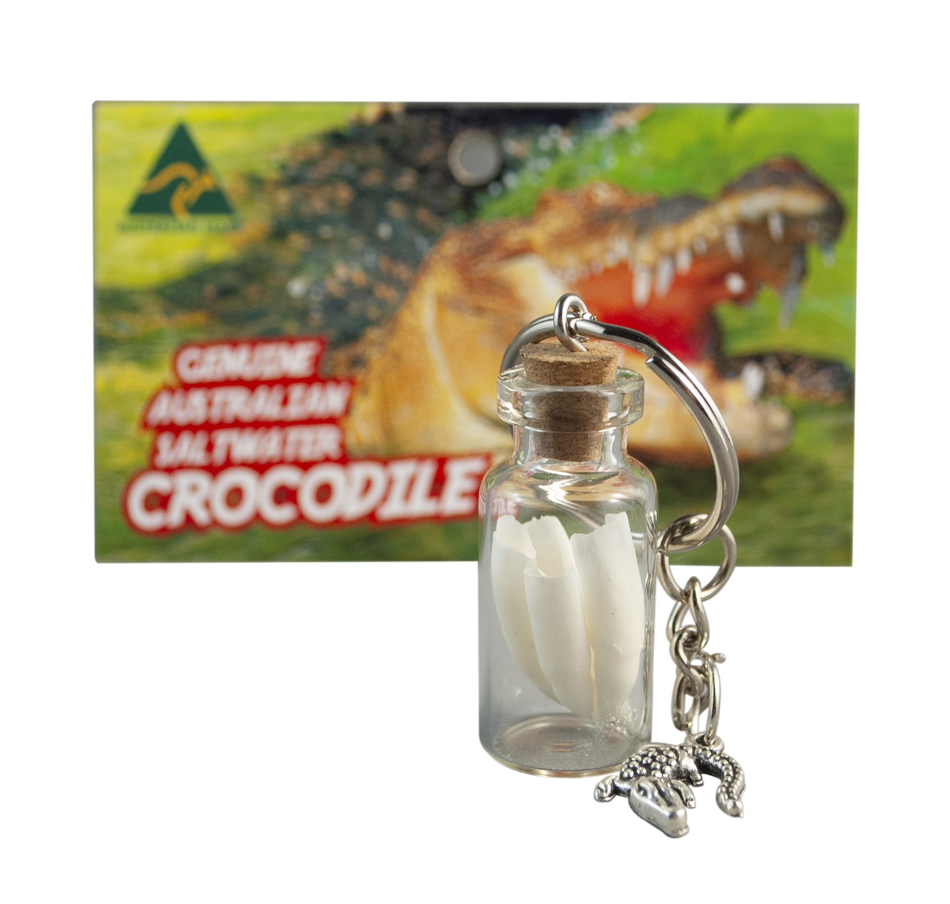 FINALLY BACK IN STOCK! Croc Tooth Keyring in glass bottle in Hang Sell Bag- 934029009879