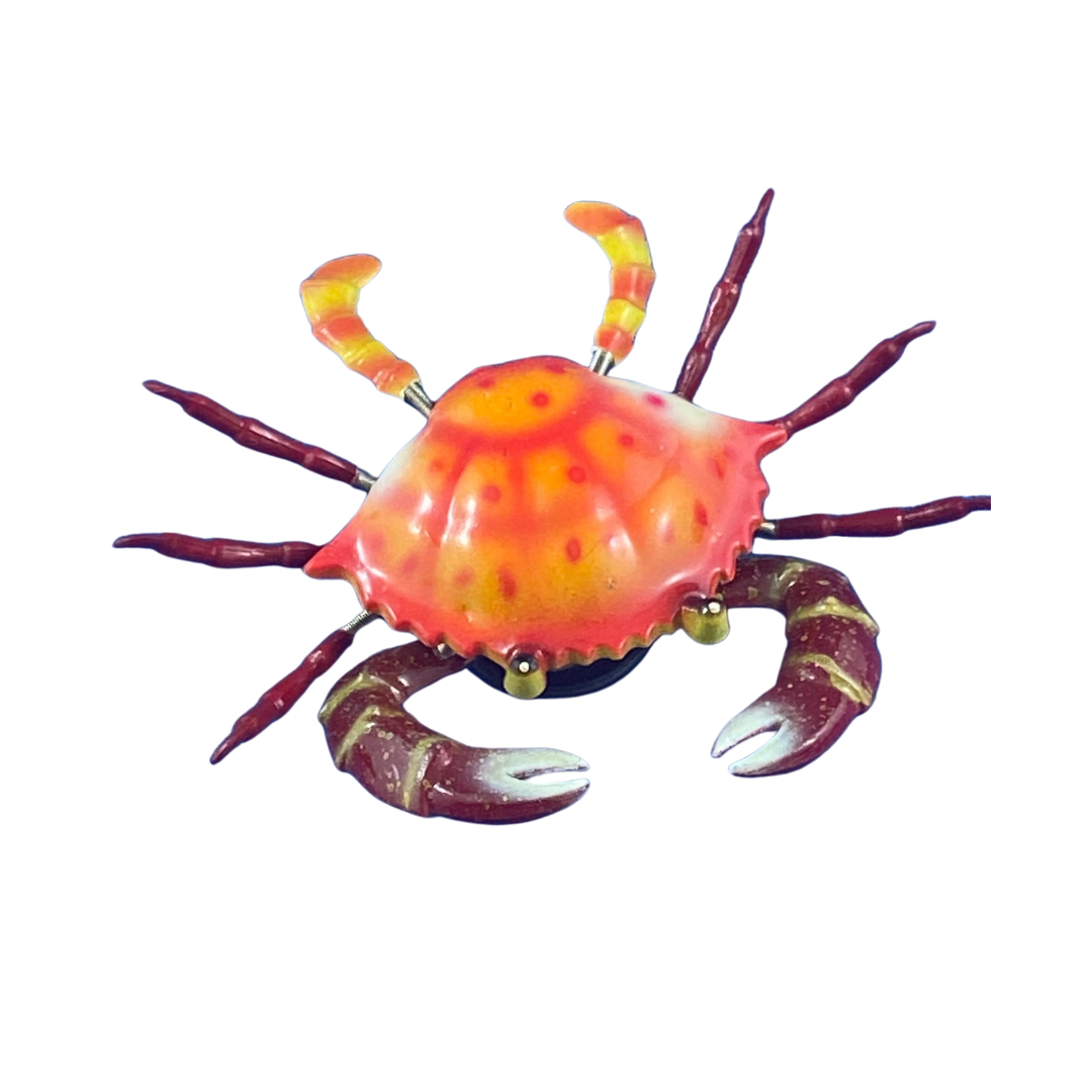 Crab Spring Magnet BACK IN STOCK! ORDER NOW BEFORE THE CHRISTMAS RUSH! 7X5cm. 36/360