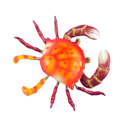 Crab Spring Magnet BACK IN STOCK! ORDER NOW BEFORE THE CHRISTMAS RUSH! 7X5cm. 36/360