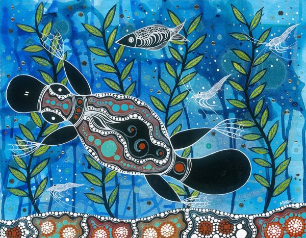 Postcard Hungry Platypus