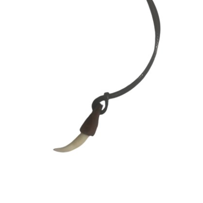 Crocodile Tooth Necklace