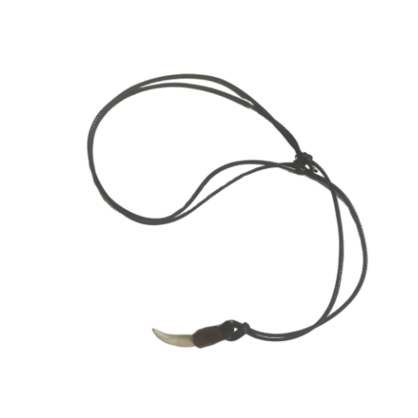 Crocodile Tooth Necklace