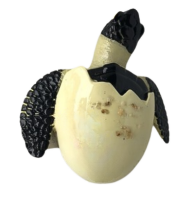 Turtle Egg with Sand Magnet