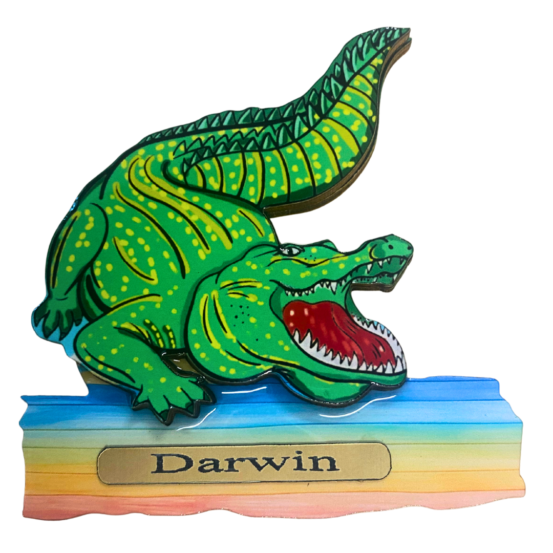 Colourful Croc Magnet MDF