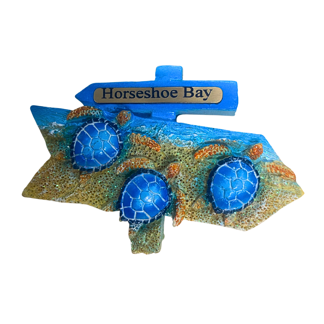 3 Turtle Magnet with Sign