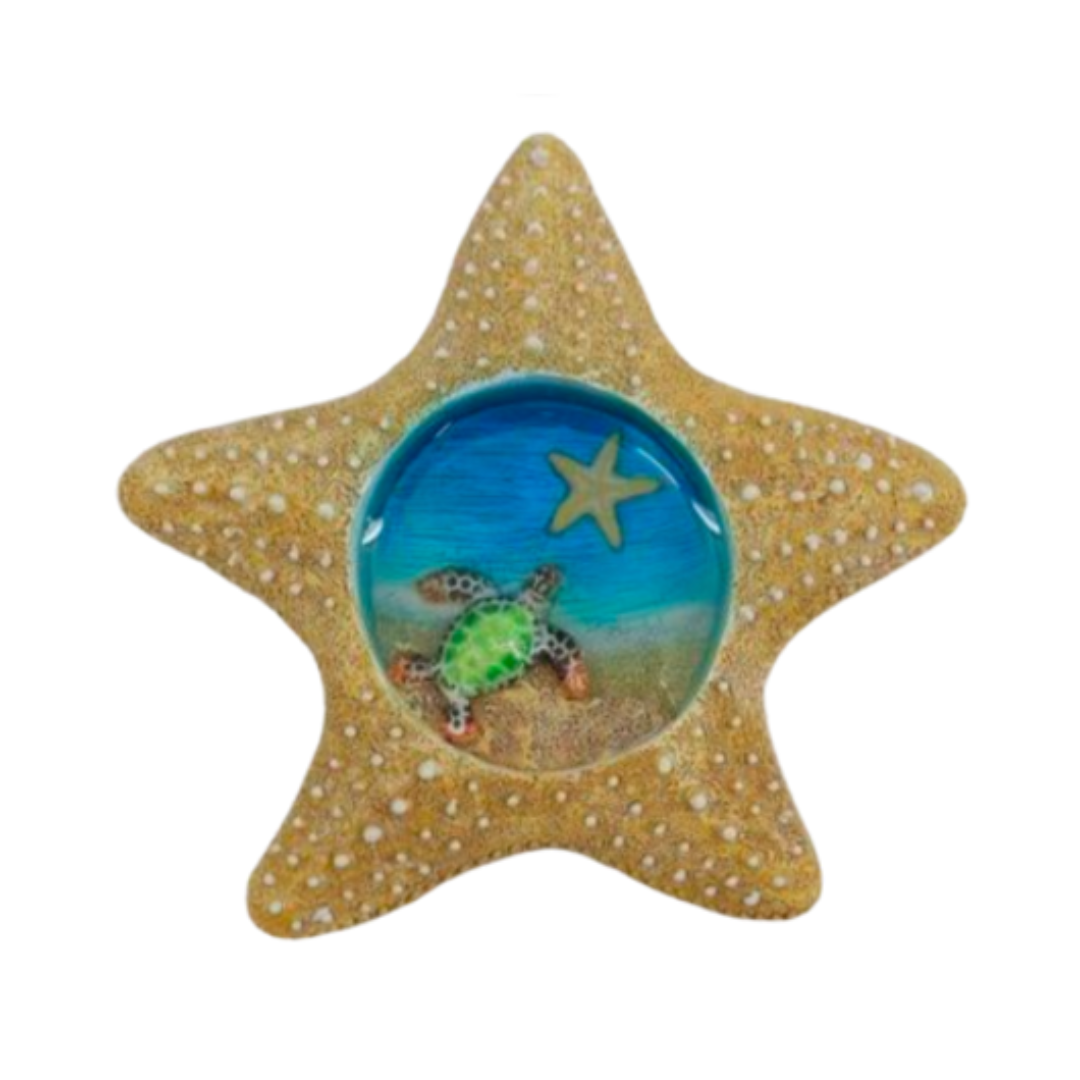 Starfish Frame Magnet w Turtle