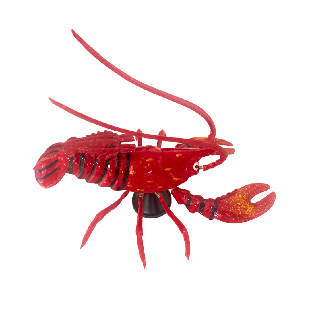 Wobbly Mag Red Black Lobster