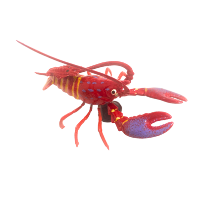 Wobbly Mag Red Purple Lobster