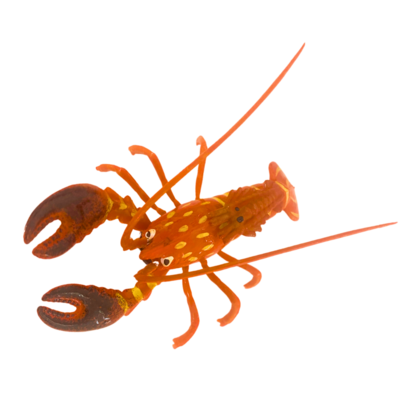Wobbly Mag Lobster Orange